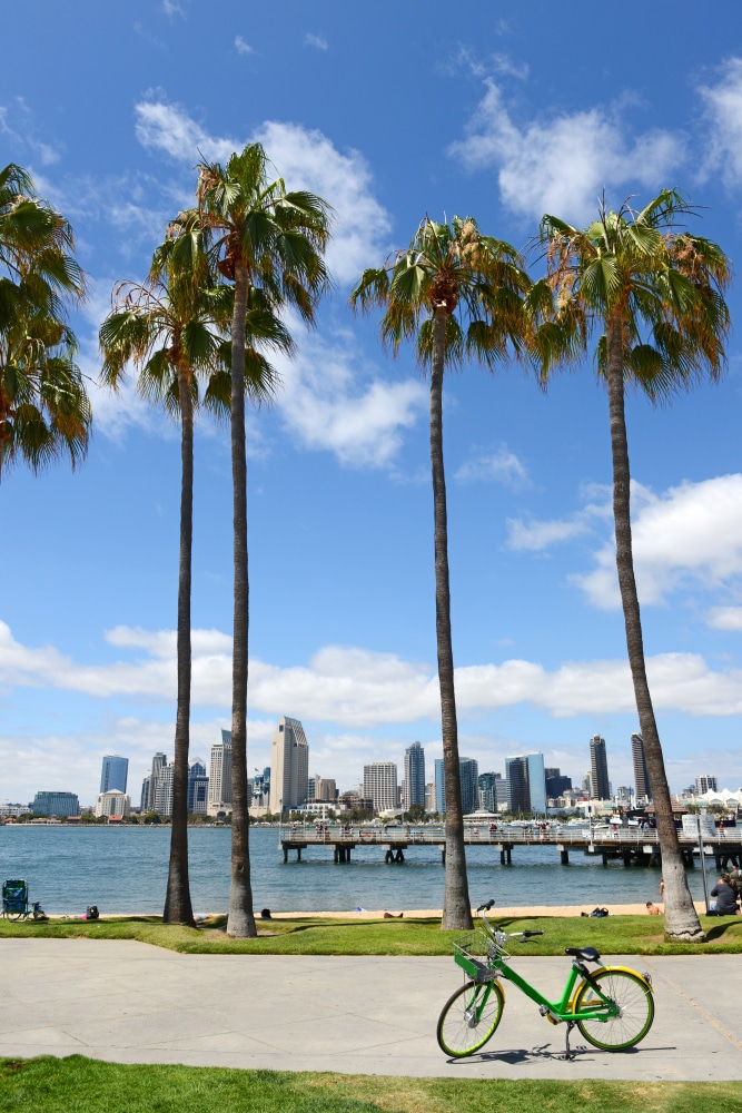 Skyline,Of,San,Diego,,California,With,Blue,Skies,And,Palm