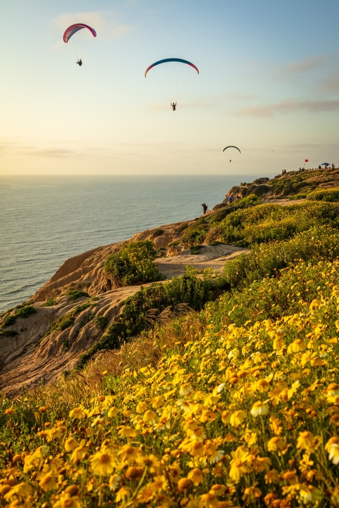 Sunset,At,The,Black,Beach,,San,Diego,Ca