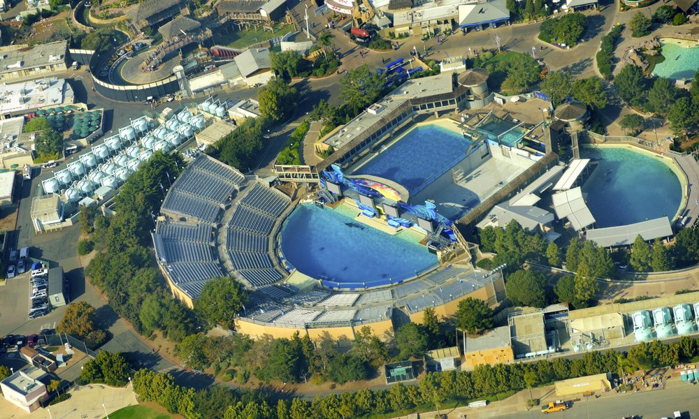 Aerial,View,Of,Seaworld,,A,Marine,Life,Theme,Park,In